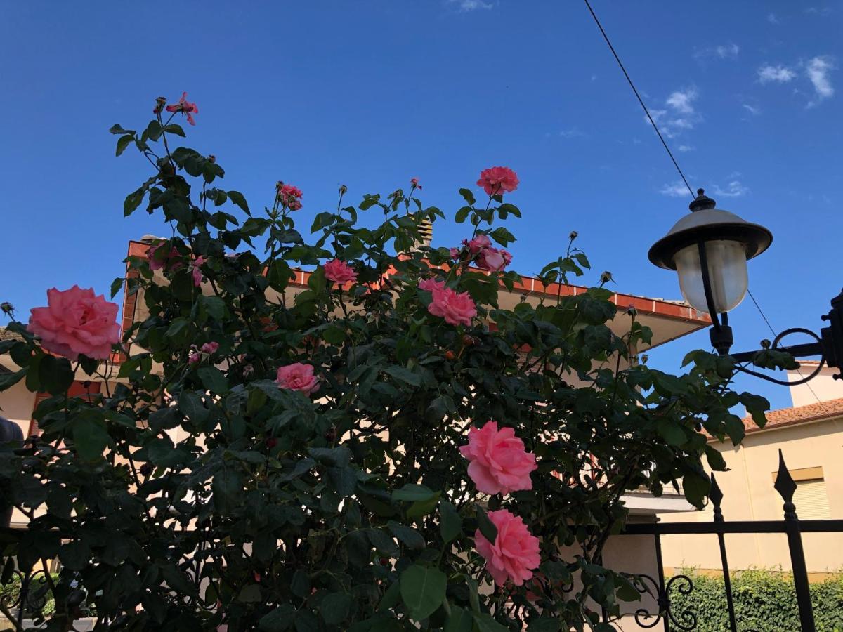 Hotel Zodiaco Bolsena Buitenkant foto
